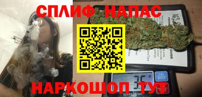 гидра Заводоуковск