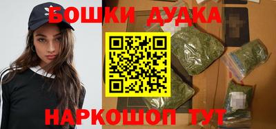 гидра Заводоуковск
