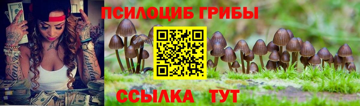 Псилоцибиновые грибы MAGIC MUSHROOMS Малоярославец